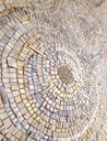 Pearl white mosaic wall art with radiant circular design and soft gold accents, elegant modern decor
